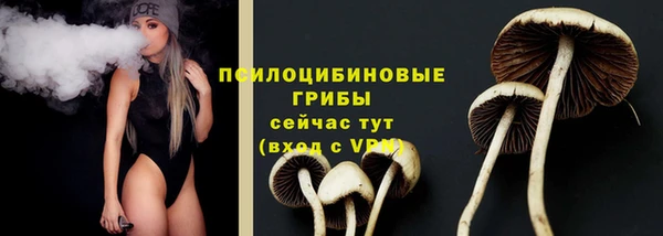 2c-b Алексеевка